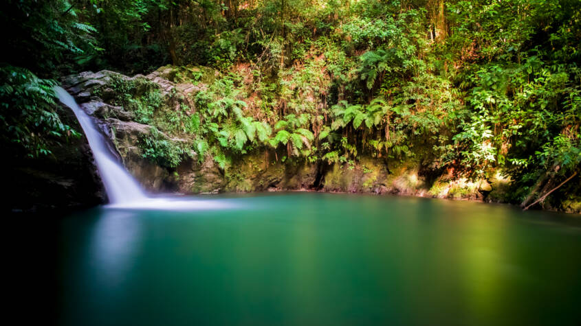 Pond with cascading water flowing into it surrounded by lush green vegetation